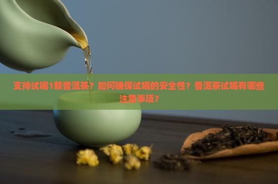 支持试喝1颗普洱茶