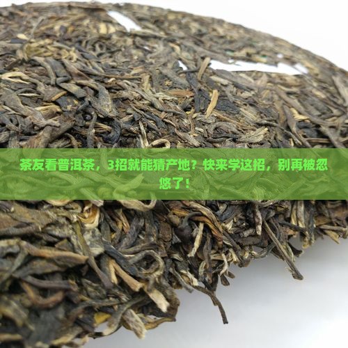 普洱茶看茶叶能知道产地