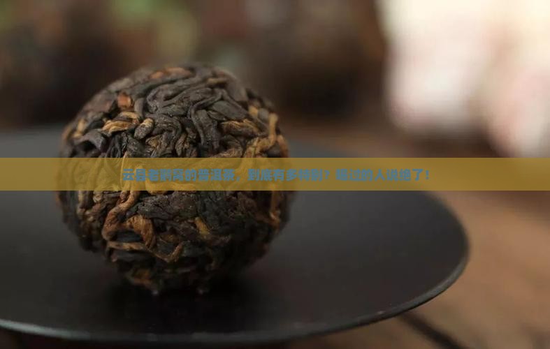 云县老鹳窝普洱茶特点