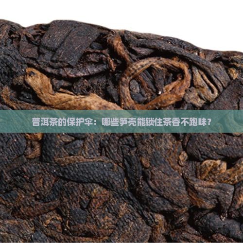 普洱茶笋壳防潮防异味的有哪些