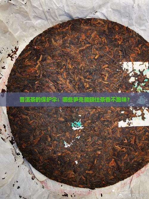普洱茶笋壳防潮防异味的有哪些