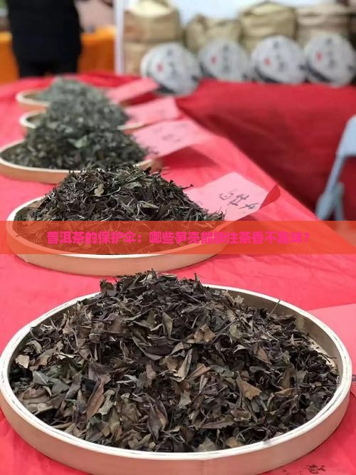 普洱茶笋壳防潮防异味的有哪些