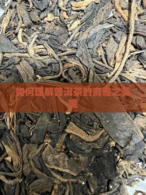 如何理解普洱茶的高雅之美
