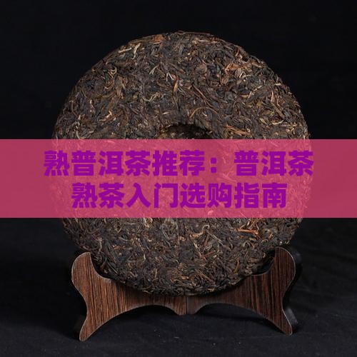 熟普洱茶入门茶推荐
