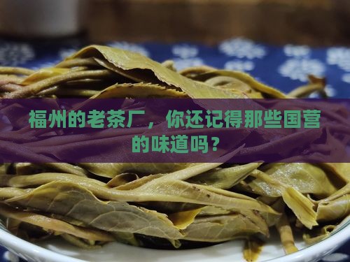 福州国营茶厂有哪些