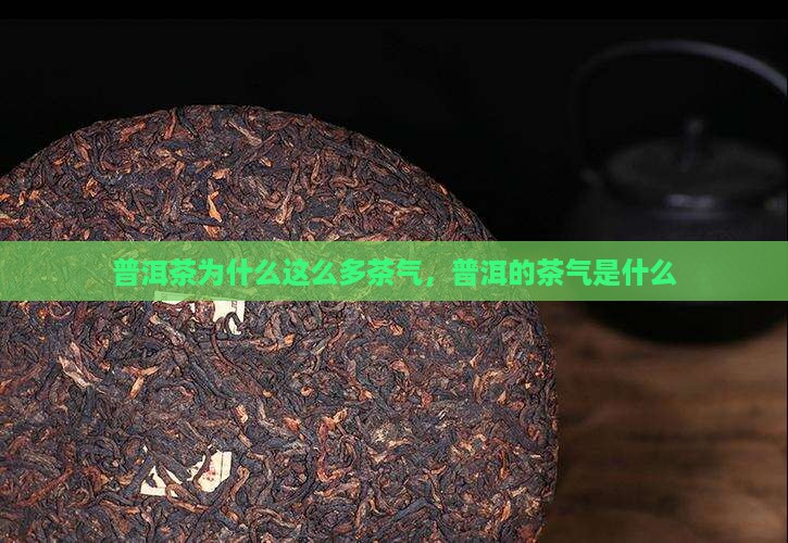 普洱茶为什么这么多茶气