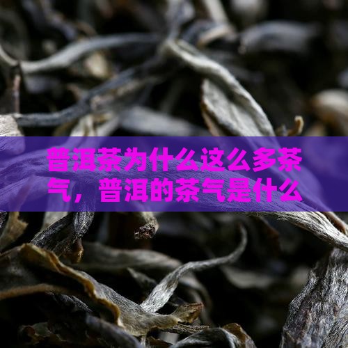 普洱茶为什么这么多茶气