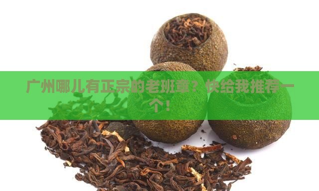 广州正规的老班章