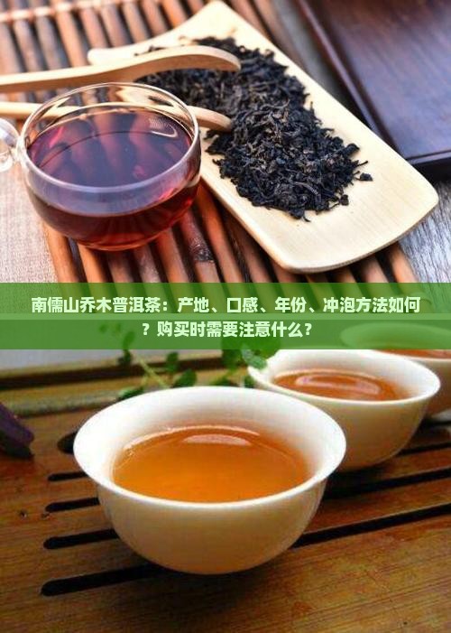 南儒山乔木普洱茶