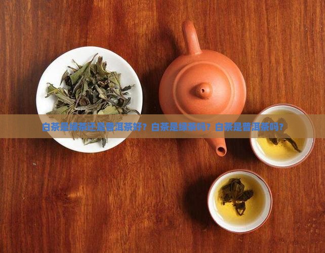 白茶是绿茶还是普洱茶