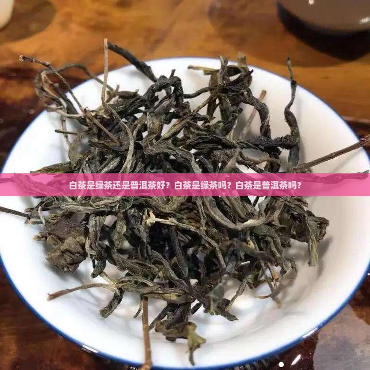 白茶是绿茶还是普洱茶