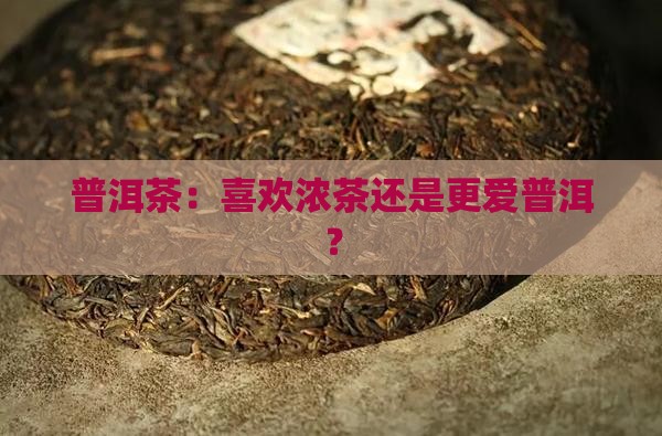 普洱茶喜欢喝浓茶