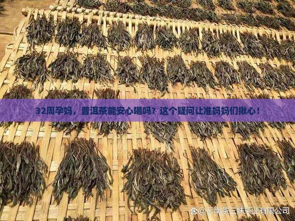 怀孕32周喝普洱茶