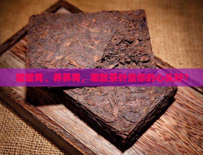 什么茶叶暖胃养胃