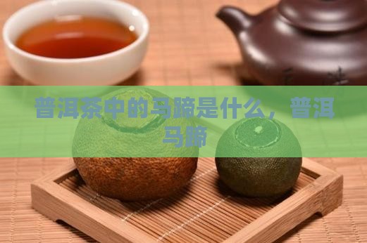 普洱茶乔木马蹄