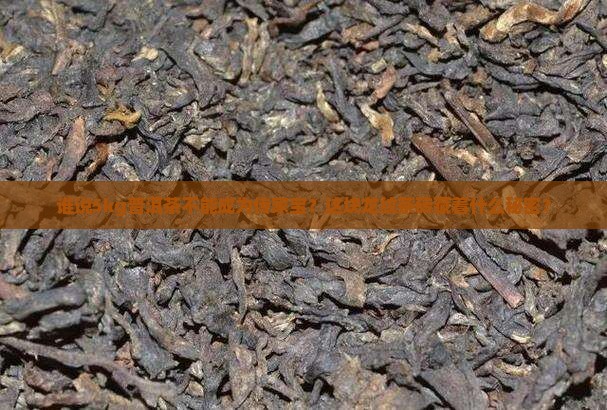 5kg龙纹普洱茶