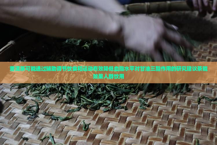 喝普洱茶可以降甘油三酯吗