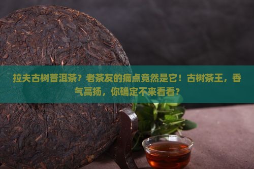 拉夫古树普洱茶