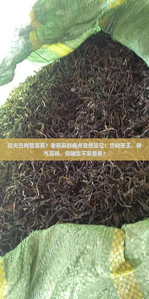 拉夫古树普洱茶