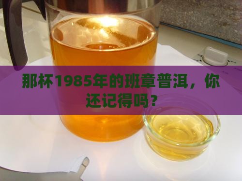 1985班章普洱茶