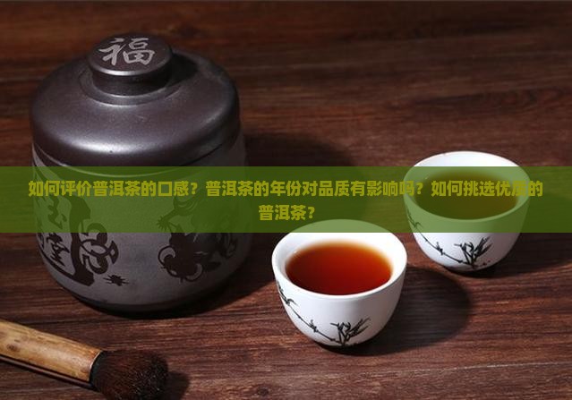 如何评论普洱茶