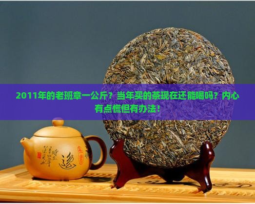 2011年老班章一公斤