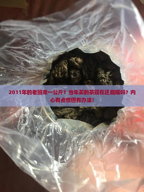 2011年老班章一公斤
