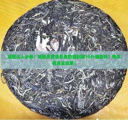 陈皮普洱茶刮油脂吗有效果吗