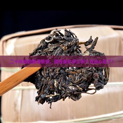 20年普洱茶饼价格多少钱