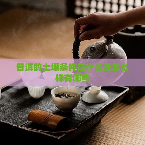 普洱的土壤条件