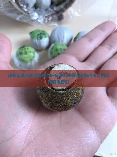 体道长牌普洱茶 体道长牌普洱茶
