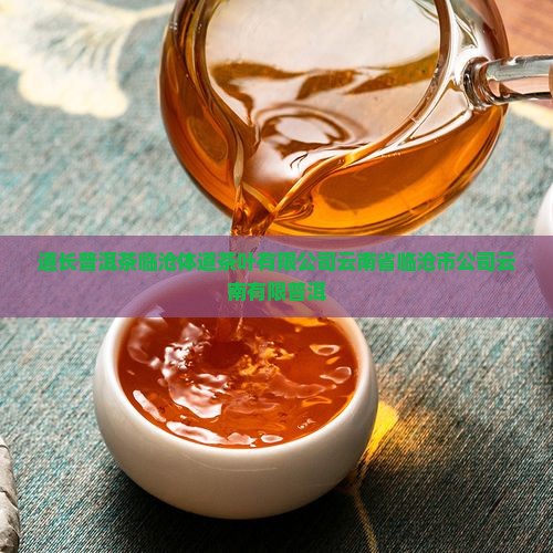体道长牌普洱茶 体道长牌普洱茶
