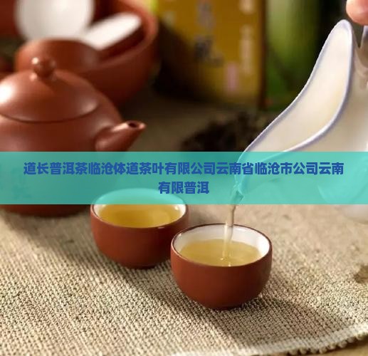 体道长牌普洱茶 体道长牌普洱茶