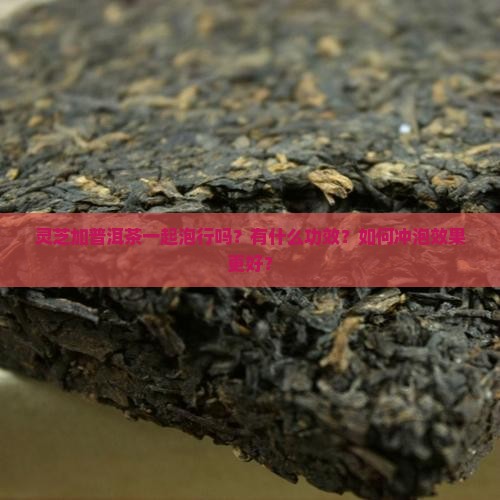 灵芝加普洱茶一起泡