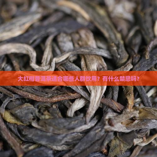 大红柑普洱茶适合人群