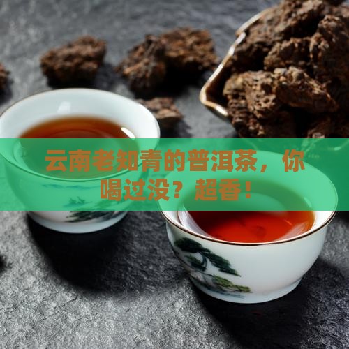 云南老知青普洱茶