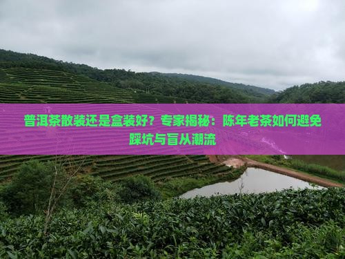 普洱茶散装还是盒装好