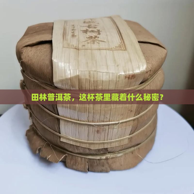 田林普洱茶品牌