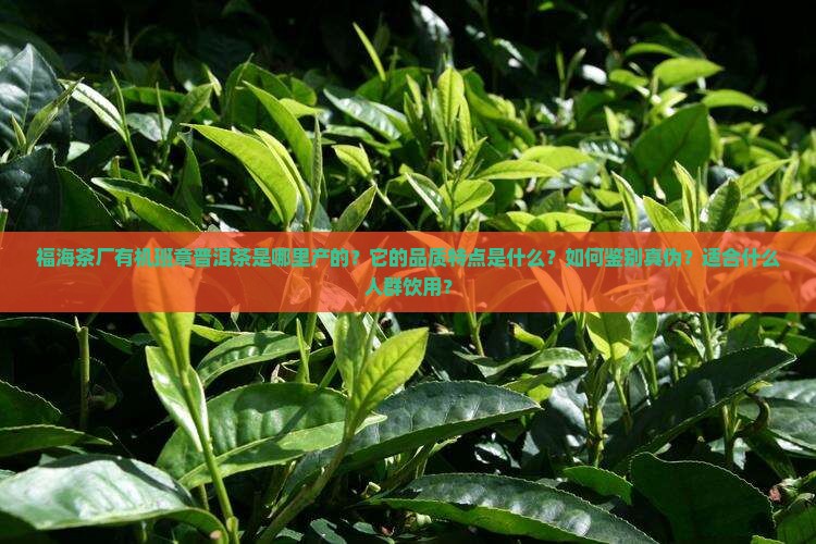 福海茶厂有机班章普洱茶