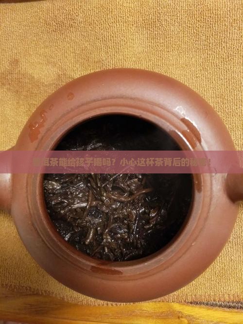 小孩能喝茶叶水吗普洱茶