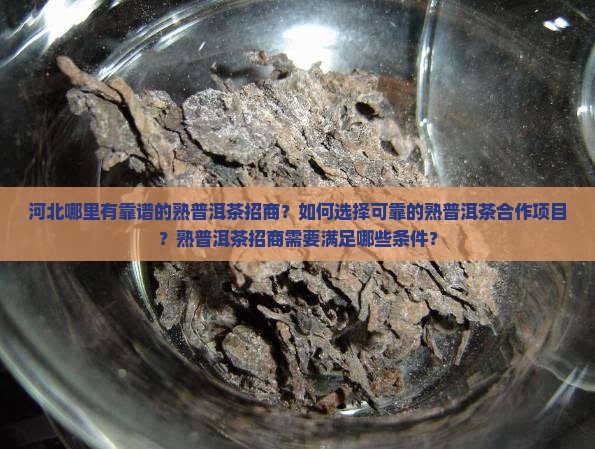 河北靠谱的熟普洱茶招商
