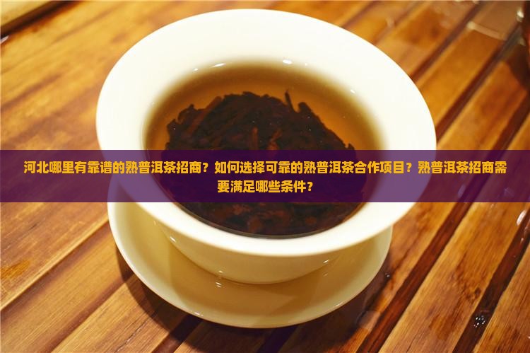 河北靠谱的熟普洱茶招商
