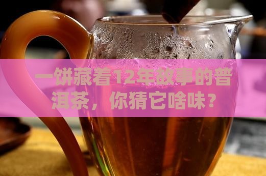 一份12年的普洱茶