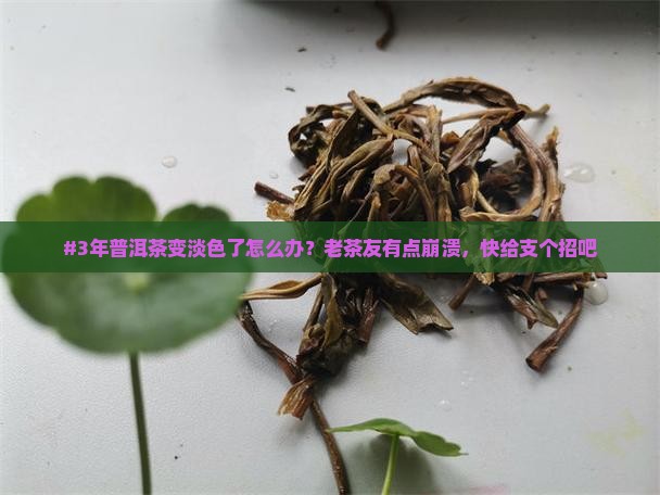 普洱茶存放几年后变淡色