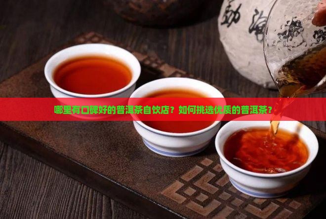 普洱茶自饮店哪个好