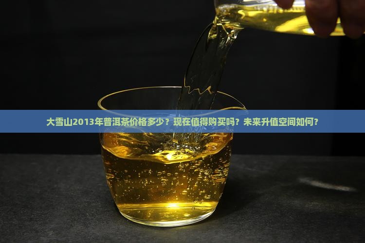 大雪山2013年普洱茶价格