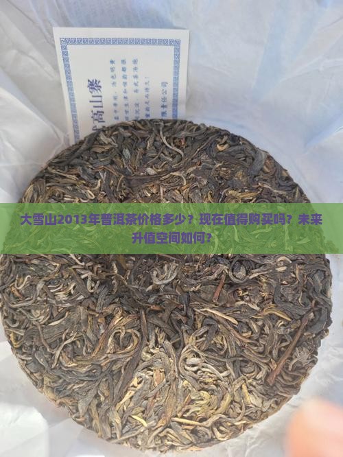 大雪山2013年普洱茶价格