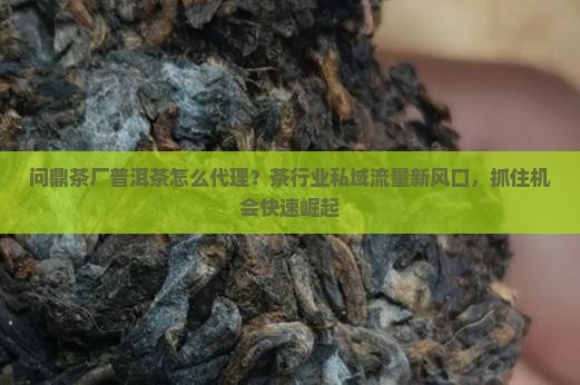 问鼎茶厂普洱茶