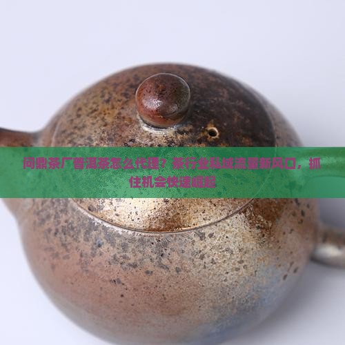 问鼎茶厂普洱茶
