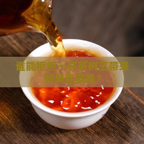 茶树王早春普洱茶